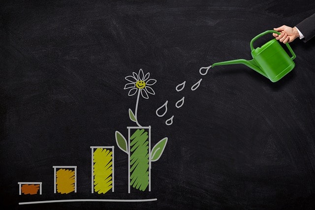 business owner's personal credit for capital loans