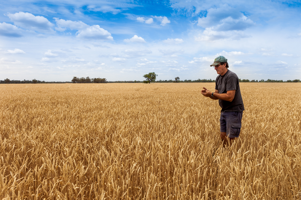 Farm equipment loans
