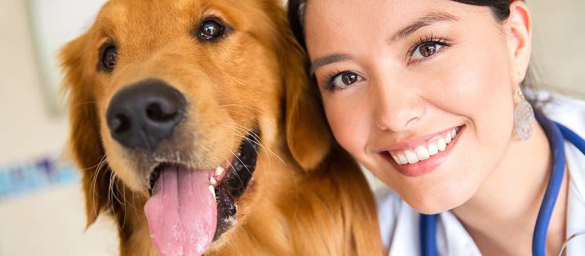 vet hospital fully equipped for a new owner