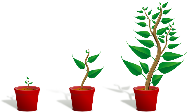 Secured loan for business is a core one of your business needs