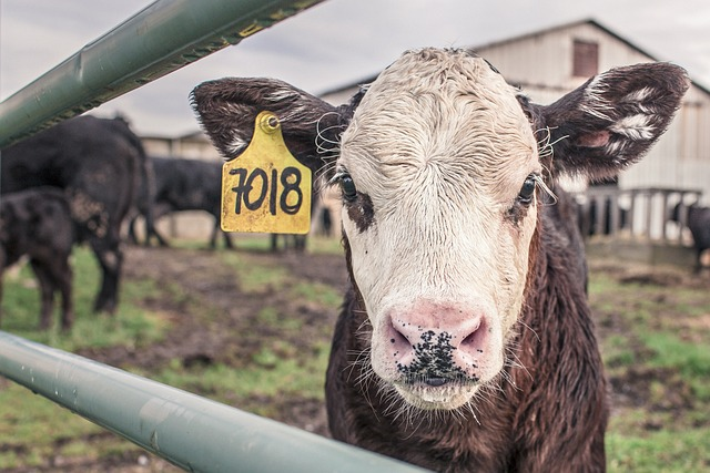 Low interest rate for farm loans