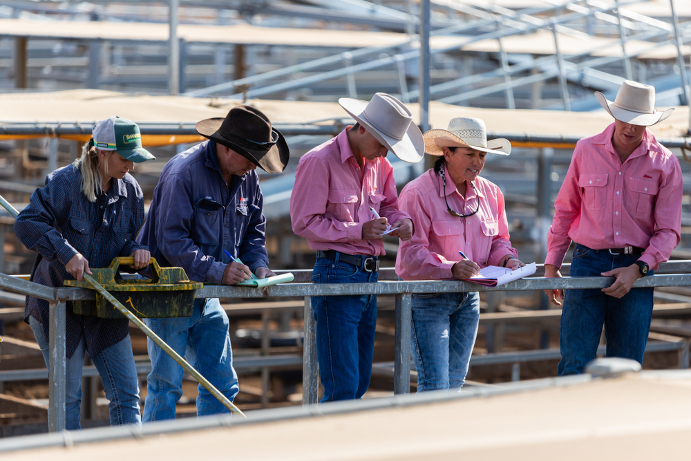 Australian farmers business loans