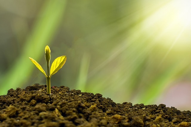 business financial statements for small business loan