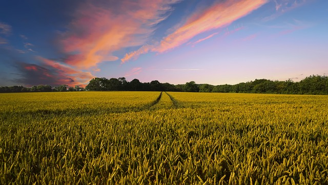Hobby farm or rural residential business loans