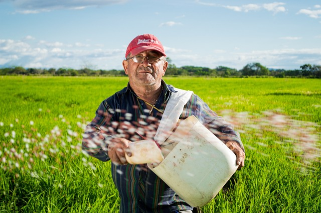 your farm can succeed with a business loan