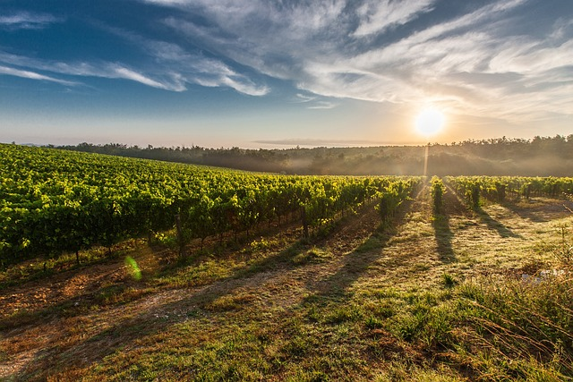 Regional Australia Agriculture Finance