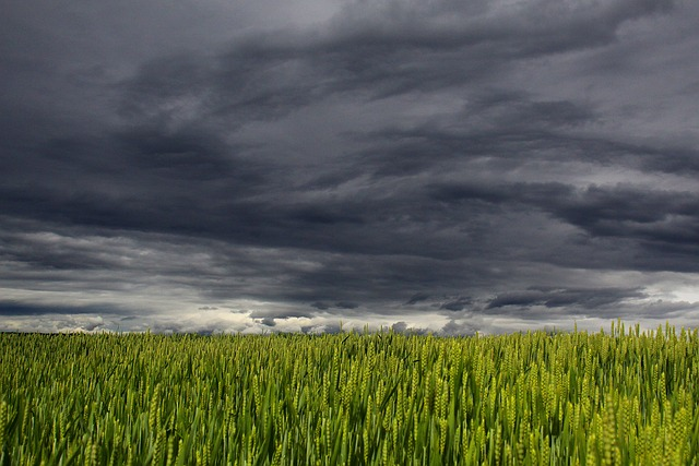 business development from farm loans and repayments